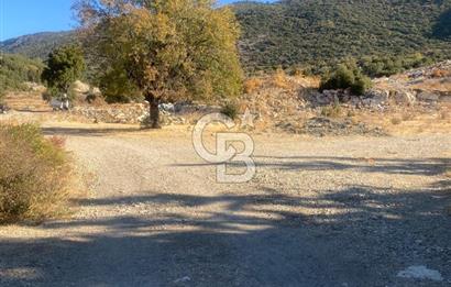 CB GİZ'DEN KAŞ İKİZCE'DE SATILIK TARLA