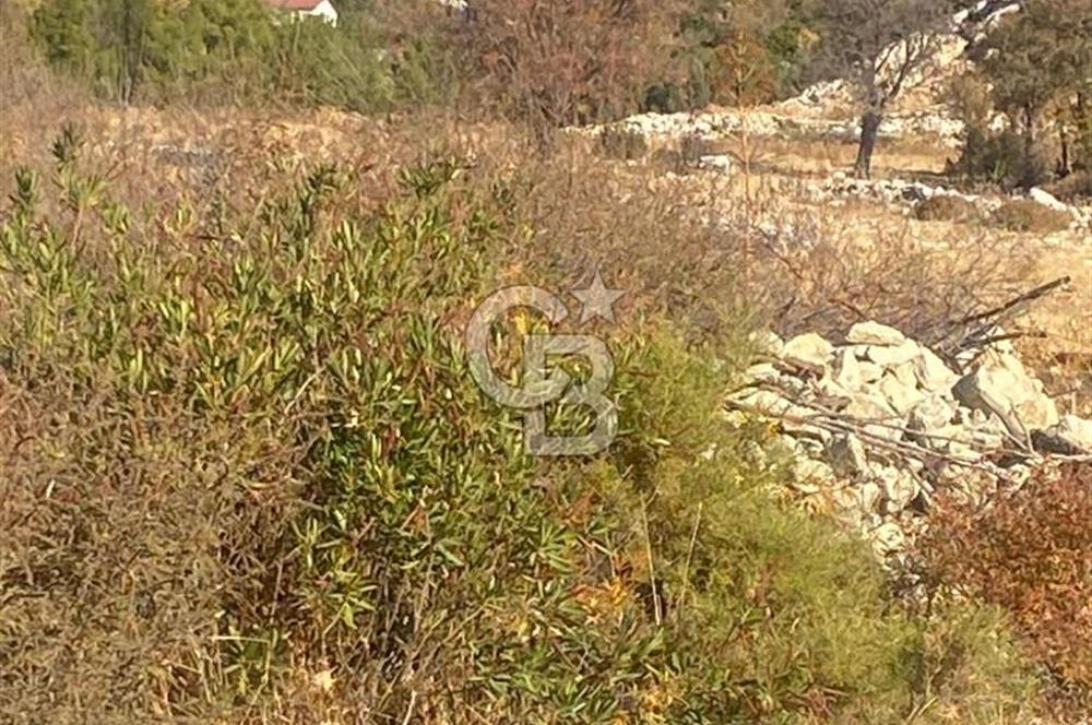 CB GİZ'DEN KAŞ İKİZCE'DE SATILIK TARLA