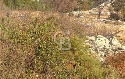CB GİZ'DEN KAŞ İKİZCE'DE SATILIK TARLA