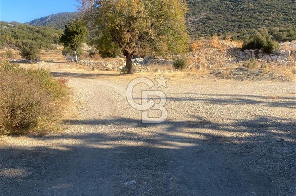 CB GİZ'DEN KAŞ İKİZCE'DE SATILIK TARLA