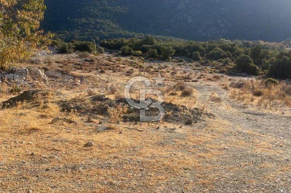 CB GİZ'DEN KAŞ İKİZCE'DE SATILIK TARLA