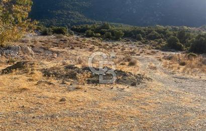 CB GİZ'DEN KAŞ İKİZCE'DE SATILIK TARLA