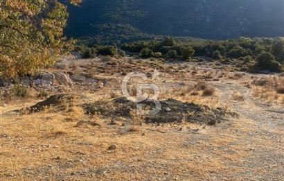 CB GİZ'DEN KAŞ İKİZCE'DE SATILIK TARLA