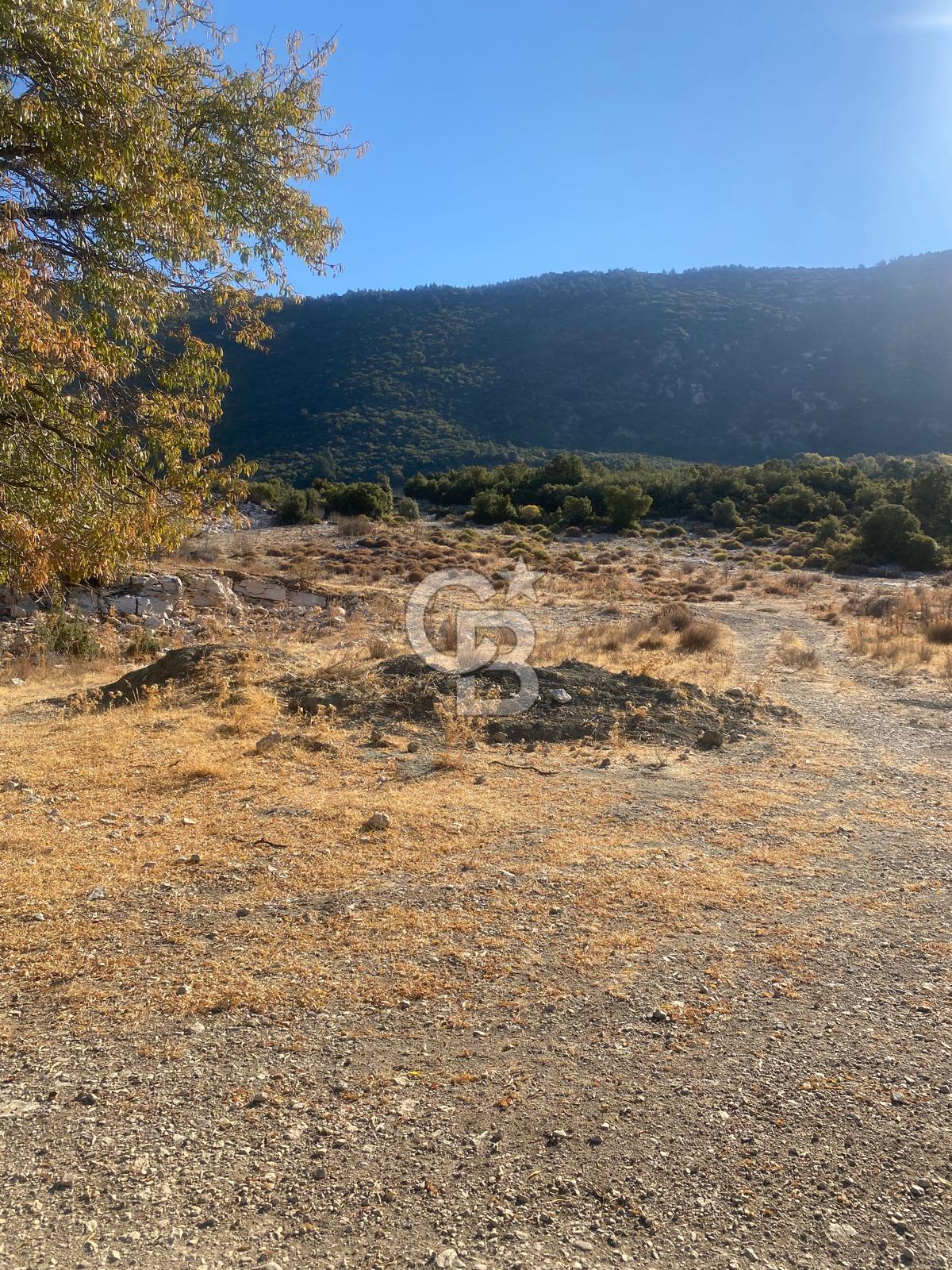 CB GİZ'DEN KAŞ İKİZCE'DE SATILIK TARLA