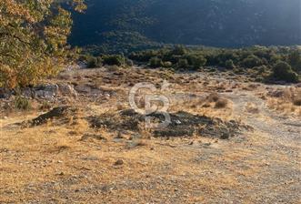 CB GİZ'DEN KAŞ İKİZCE'DE SATILIK TARLA