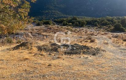 CB GİZ'DEN KAŞ İKİZCE'DE SATILIK TARLA
