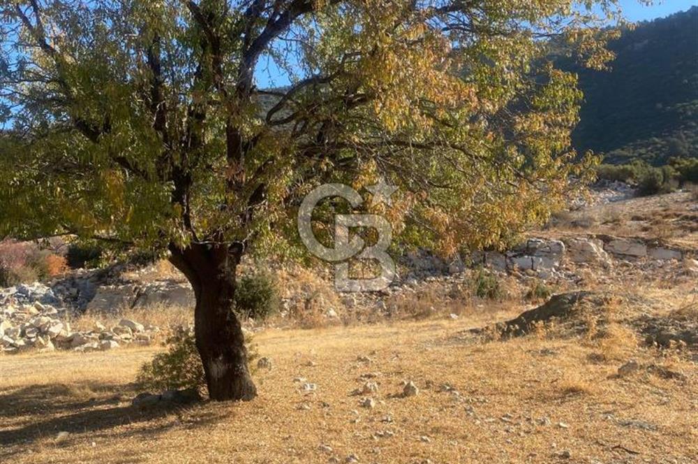 CB GİZ'DEN KAŞ İKİZCE'DE SATILIK TARLA