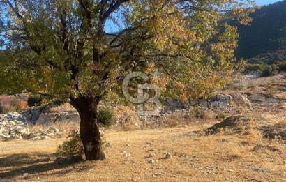 CB GİZ'DEN KAŞ İKİZCE'DE SATILIK TARLA