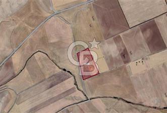 ANKARA GÖLBAŞI DİKİLİTAŞ RUNKUŞ 500m² ETRAFI ÇEVRİLİ HOBİ BAHÇESİ