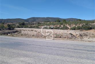 KORKUTELİ YEŞİLYAYLA ASFALT YOLA CEPHE 3.920 M2 TARLA