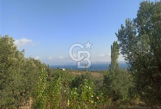 Erdek Hamamlı'da Panoramik Deniz Manzaralı Arsa - 2 - 242577