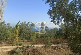 Panoramik Deniz Manzaralı Arsa - 1 - 242579