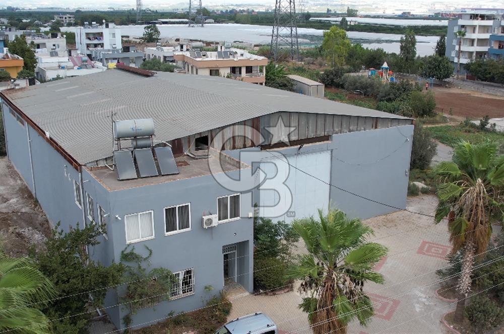 Mersin Akdeniz'de Karacailyas Mah.de Kiralık Depo & Fabrika
