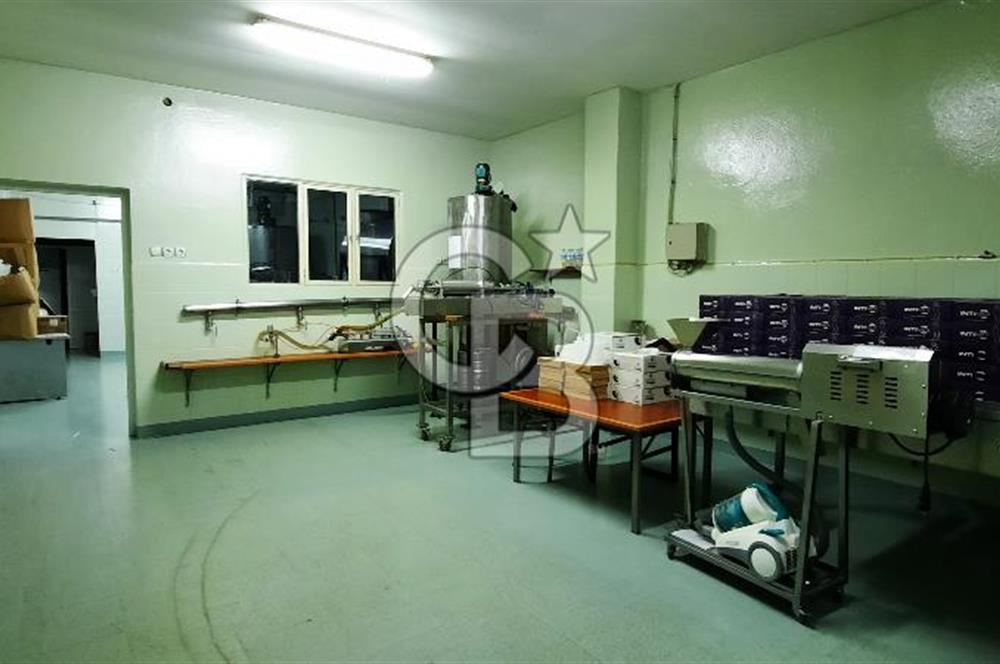 Mersin Akdeniz'de Karacailyas Mah.de Kiralık Depo & Fabrika