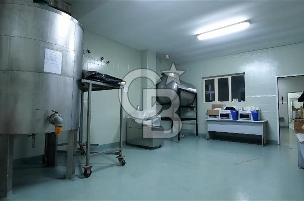 Mersin Akdeniz'de Karacailyas Mah.de Kiralık Depo & Fabrika