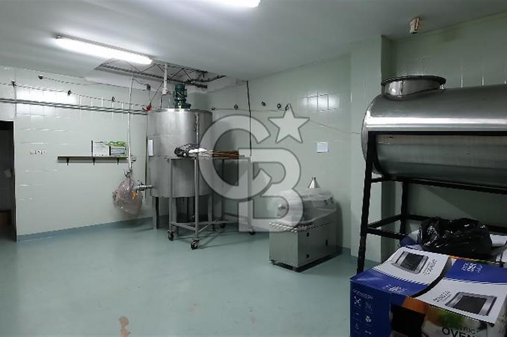 Mersin Akdeniz'de Karacailyas Mah.de Kiralık Depo & Fabrika