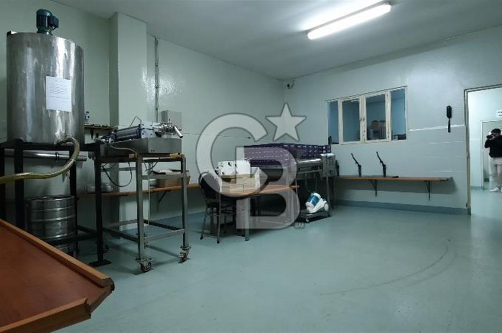 Mersin Akdeniz'de Karacailyas Mah.de Kiralık Depo & Fabrika