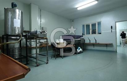 Mersin Akdeniz'de Karacailyas Mah.de Kiralık Depo & Fabrika