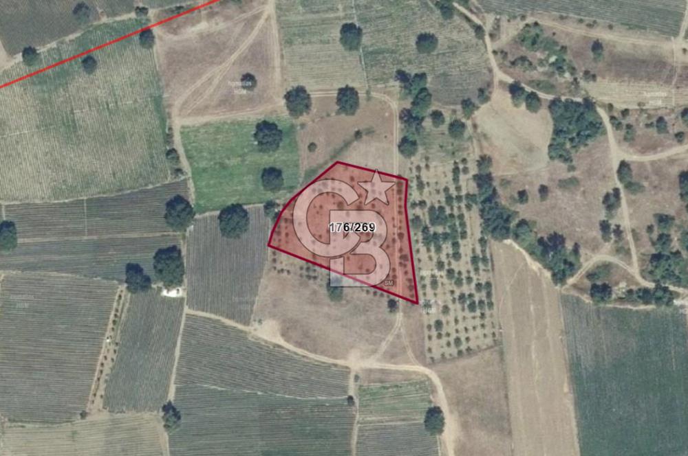 ÇANAKKALE KALKIMDA TARIMA HAZIR,YATIRIM POTANSİYELİ YÜKSEK TARLA