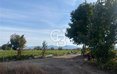 ÇANAKKALE KALKIMDA TARIMA HAZIR,YATIRIM POTANSİYELİ YÜKSEK TARLA