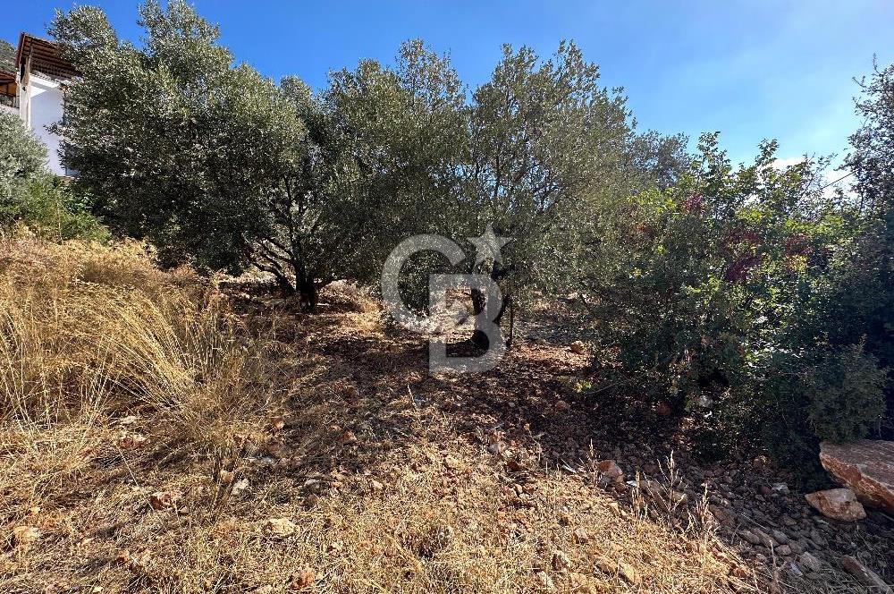 CB GİZ'DEN KAŞ KÖRDERE'DE DENİZ MANZARALI SATILIK 680 m2 ARSA