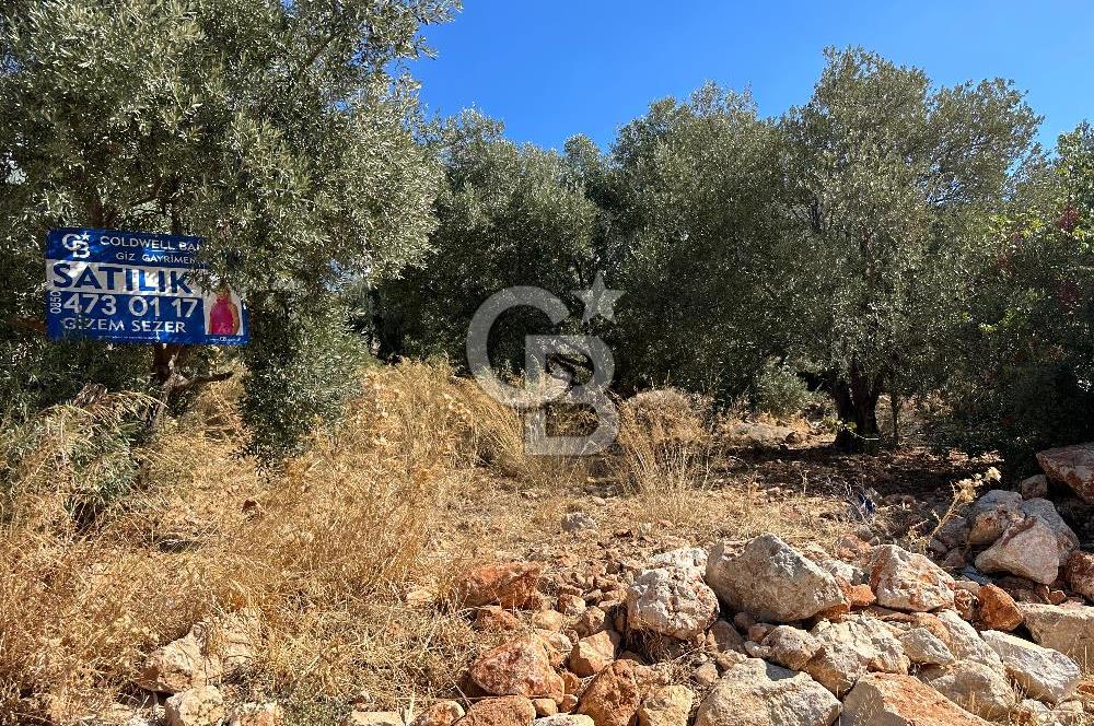 CB GİZ'DEN KAŞ KÖRDERE'DE DENİZ MANZARALI SATILIK 680 m2 ARSA