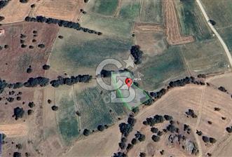 UŞAK EŞME FIRSAT TARLA 845 M2 YOLU AÇILMIŞ TEK TAPU