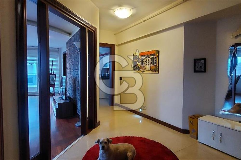 KİRALIK 3+1 DAİRE Körfez Mahallesi Teraspark 232 sitesinde 