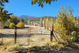 Honaz Karaçay'da Satılık Fırsat Arsa  - 1 - 243147