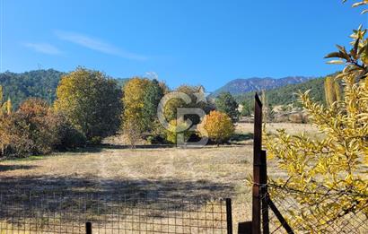 Honaz Karaçay'da Satılık Fırsat Arsa 