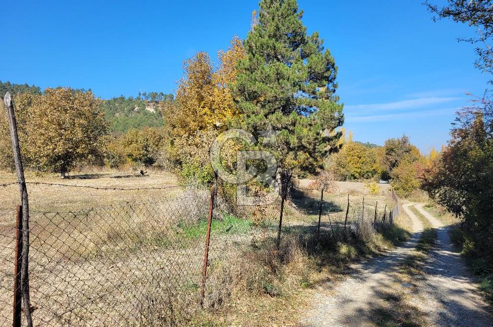 Honaz Karaçay'da Satılık Fırsat Arsa 