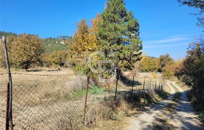 Honaz Karaçay'da Satılık Fırsat Arsa 