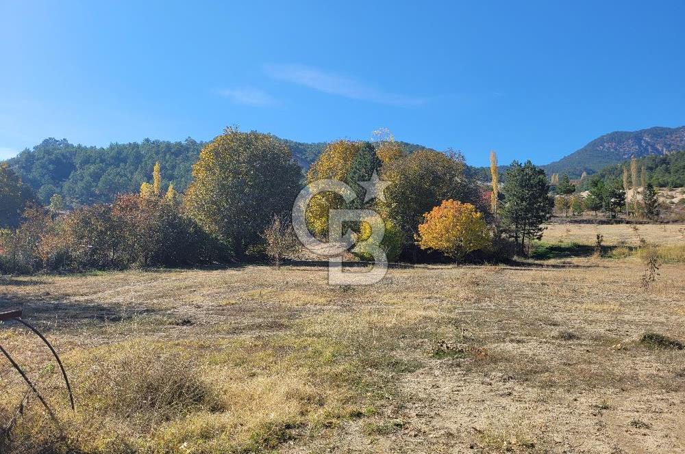 Honaz Karaçay'da Satılık Fırsat Arsa 