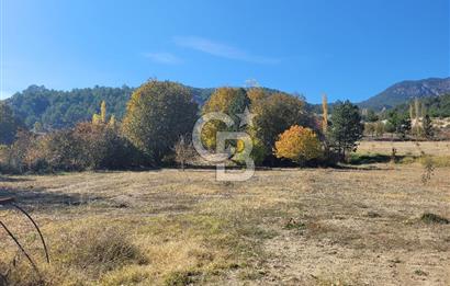 Honaz Karaçay'da Satılık Fırsat Arsa 