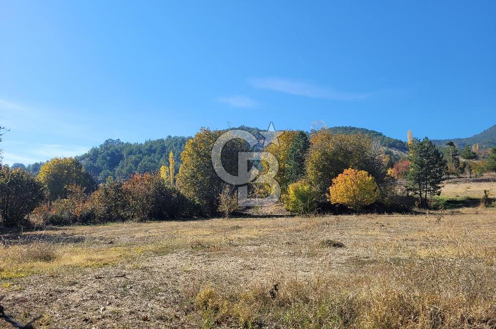 Honaz Karaçay'da Satılık Fırsat Arsa 