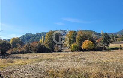 Honaz Karaçay'da Satılık Fırsat Arsa 