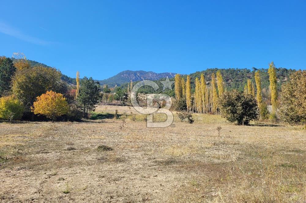 Honaz Karaçay'da Satılık Fırsat Arsa 