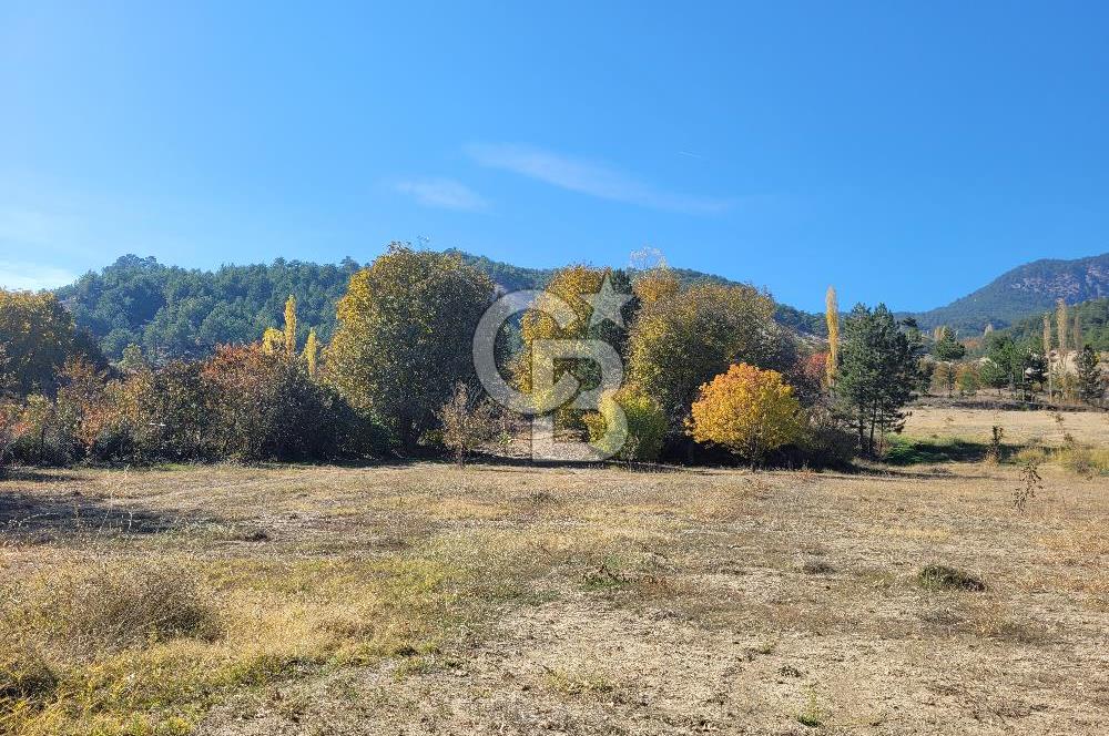 Honaz Karaçay'da Satılık Fırsat Arsa 