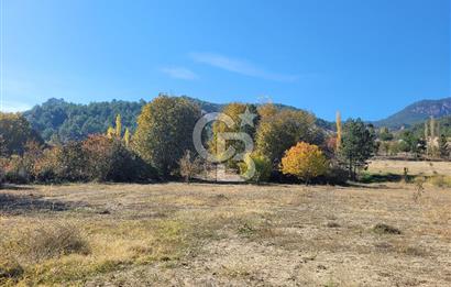 Honaz Karaçay'da Satılık Fırsat Arsa 