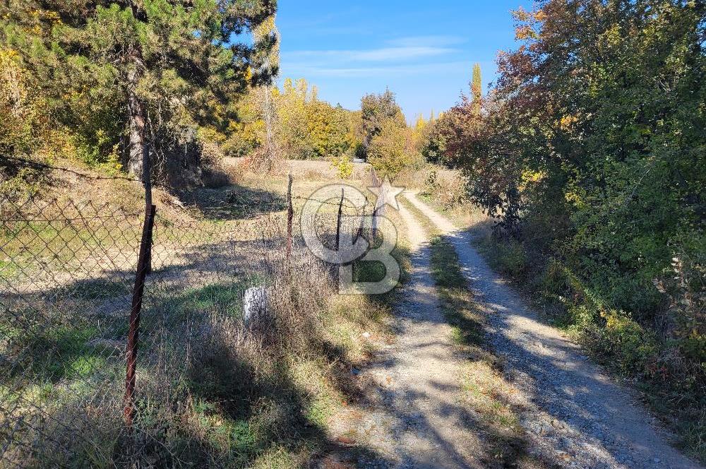 Honaz Karaçay'da Satılık Fırsat Arsa 