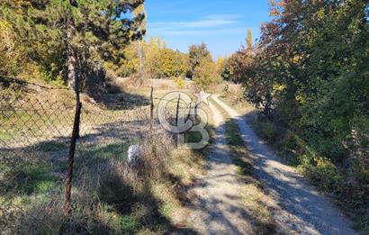 Honaz Karaçay'da Satılık Fırsat Arsa 