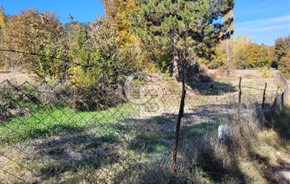 Honaz Karaçay'da Satılık Fırsat Arsa 