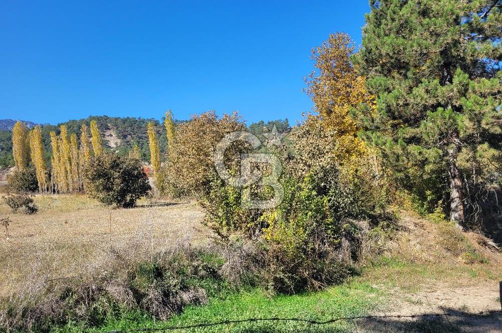 Honaz Karaçay'da Satılık Fırsat Arsa 