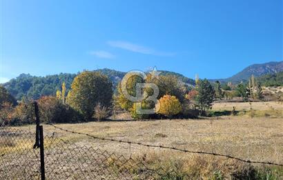 Honaz Karaçay'da Satılık Fırsat Arsa 