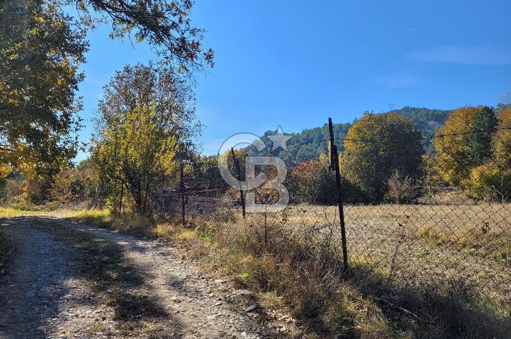 Honaz Karaçay'da Satılık Fırsat Arsa 