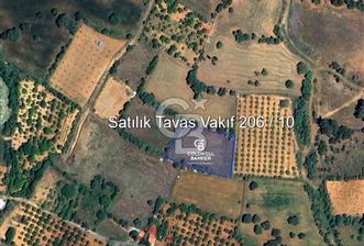 Tavas Vakıf 2583 m² Tarıma Uygun Satılık Fırsat Tarla