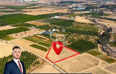 Güzelyurt'da Yatırımlık Arazi !!!