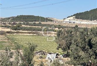 Aliağa Bicerova Karşısı 19935 Dönüm Satılık Tarla 