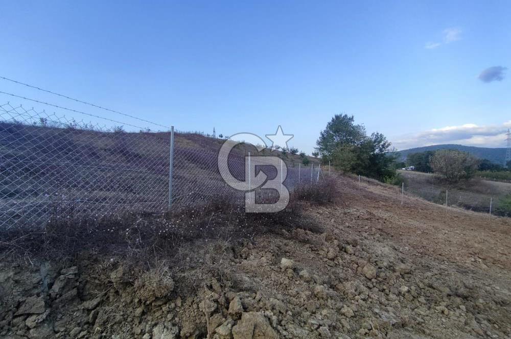 YALOVA ÇİFTLİKKÖY İLYASKÖY SATILIK TARLA YOL HAKKIN ALINMIŞ !. 