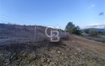 YALOVA ÇİFTLİKKÖY İLYASKÖY SATILIK TARLA YOL HAKKIN ALINMIŞ !. 